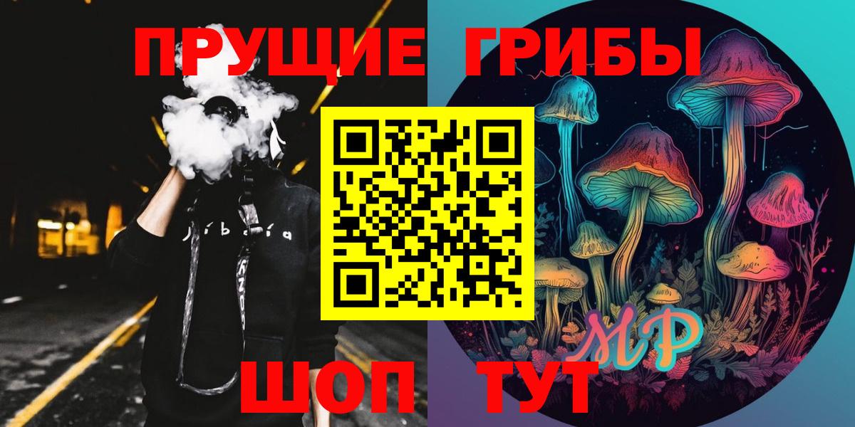 Карасук  Псилоцибиновые грибы GOLDEN TEACHER  Вход с VPN 