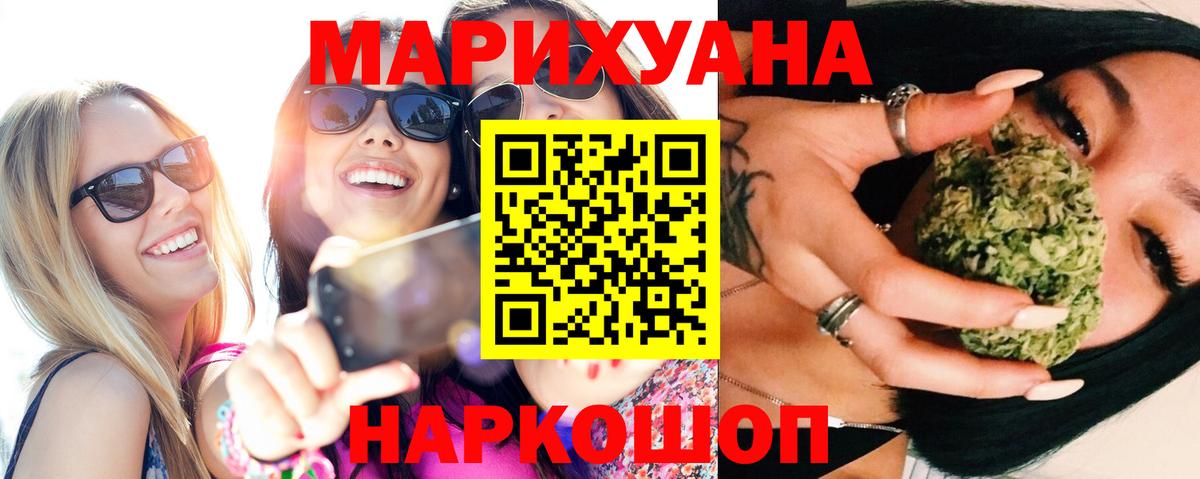 Канабис планчик Карасук